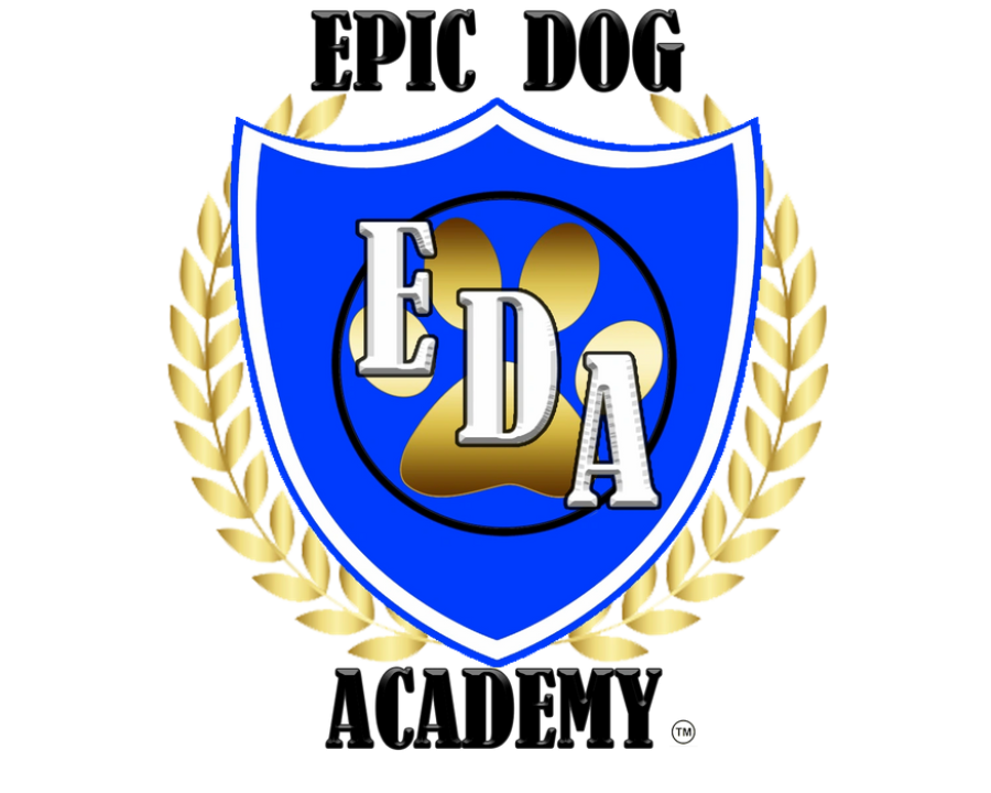 Epic Dog Academy Dog Boarding