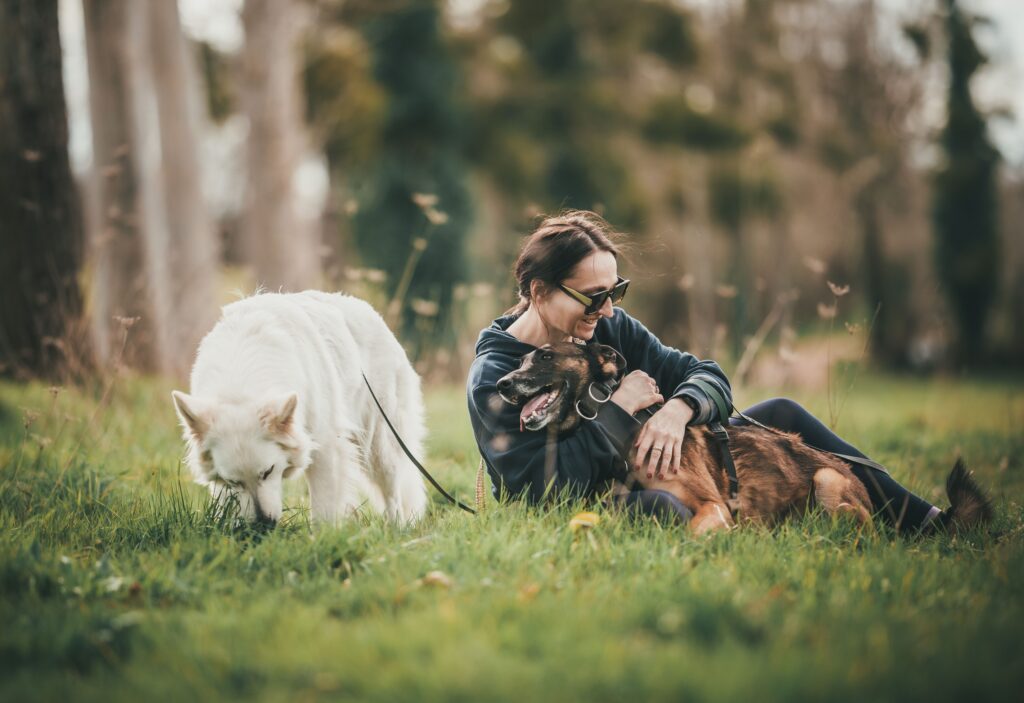 Dog Boarding and Training