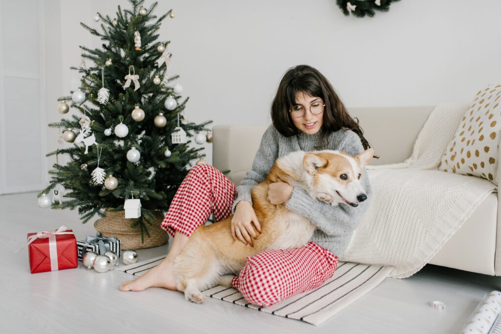 dog boarding for holidays in Murrieta